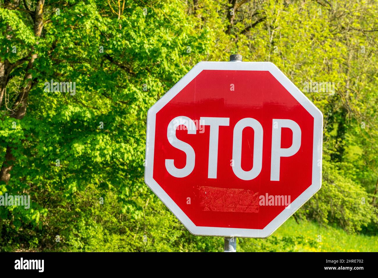 Red STOP sign in the green woody area, Rothenburg ob der Tauber ...