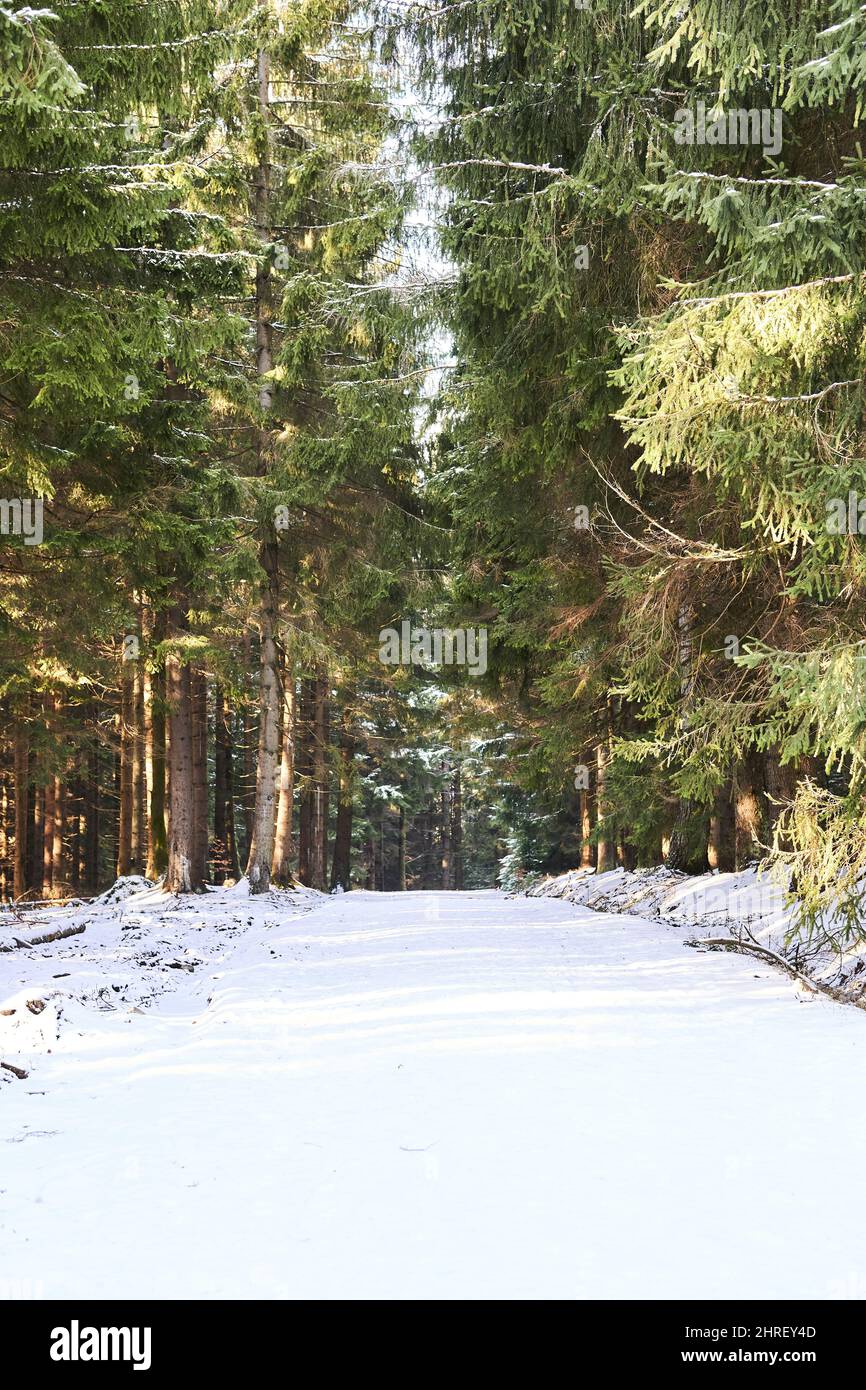 Beautiful shot tall snowy hi-res stock photography and images - Alamy