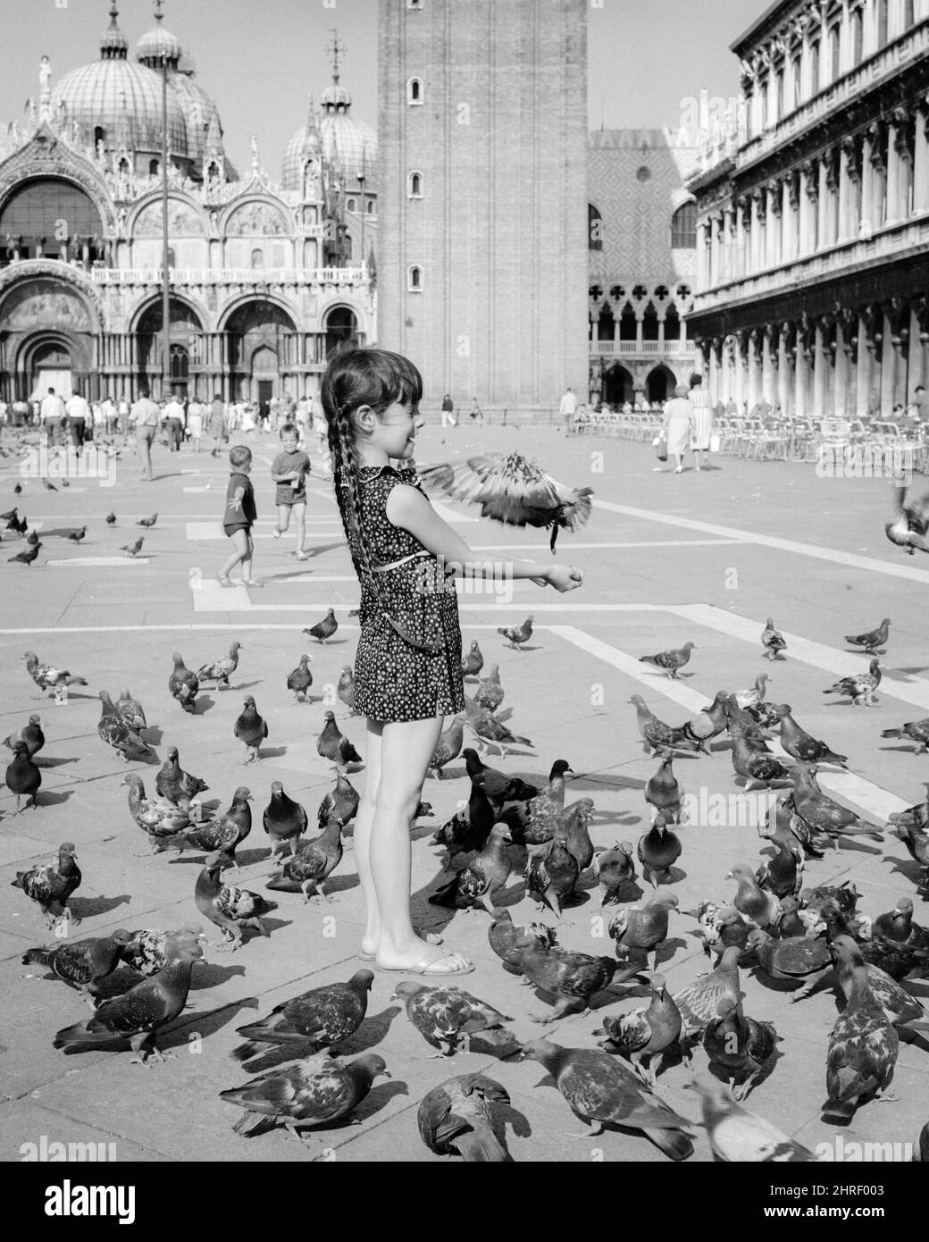 1970s LITTLE BRUNETTE GIRL FEEDING PIGEONS IN SAN MARCO SQUARE VENICE ITALY - r22926 HAR001 HARS HAPPINESS ADVENTURE DISCOVERY EUROPEAN EXCITEMENT TOURIST ITALY MOTION BLUR VERTEBRATE WARM-BLOODED FEATHERED GROWTH JUVENILES PIGEONS TOURIST ATTRACTION WINGED BIPEDAL BLACK AND WHITE CAUCASIAN ETHNICITY EGG-LAYING HAR001 MARCO OLD FASHIONED TOURISM VENEZIA Stock Photo