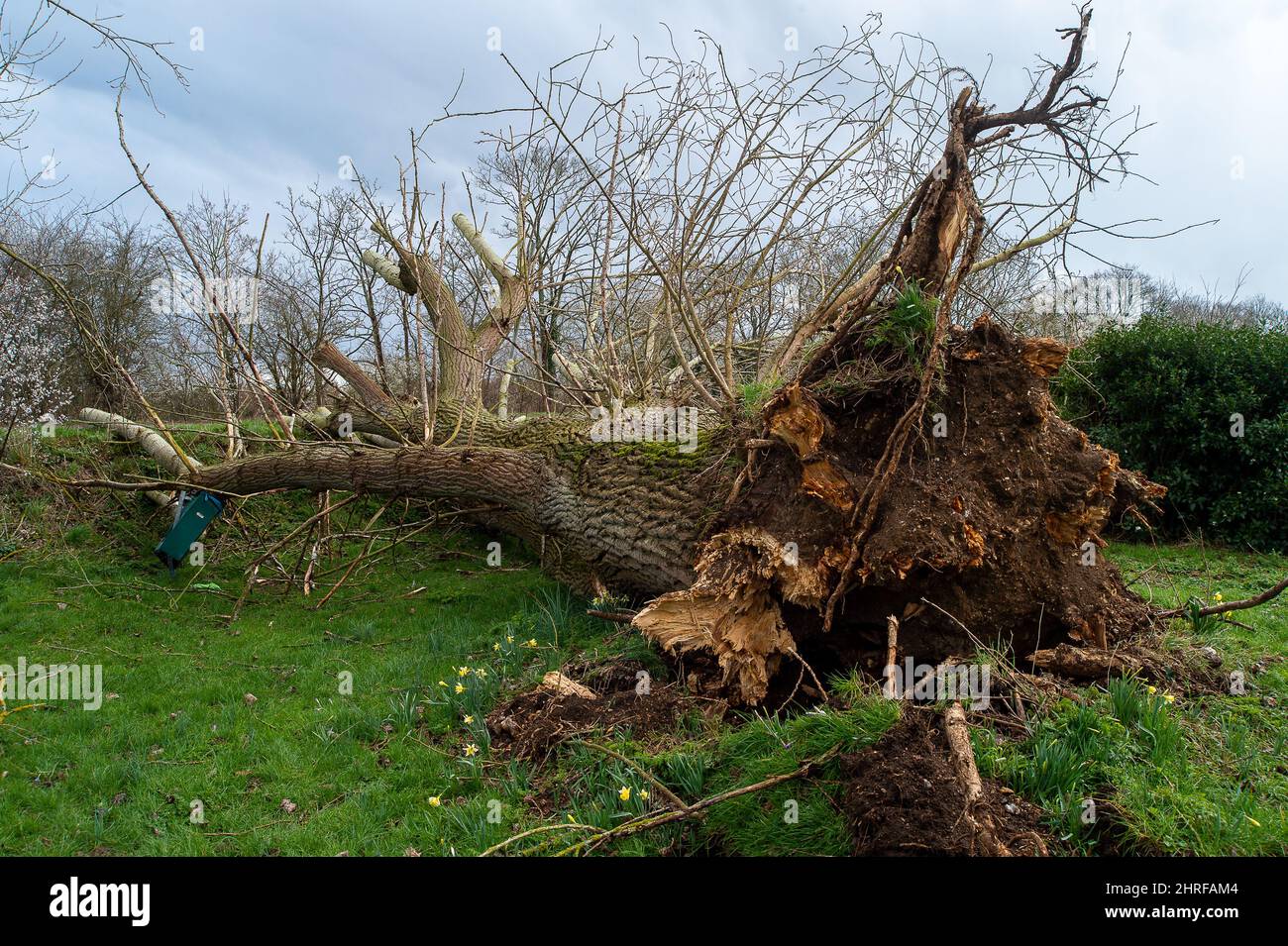 Storm eunice photos hires stock photography and images Alamy
