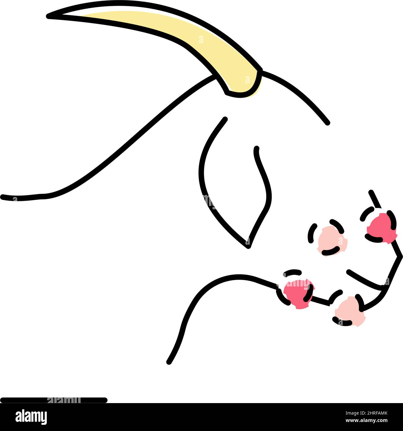 Orf virus hi-res stock photography and images - Alamy