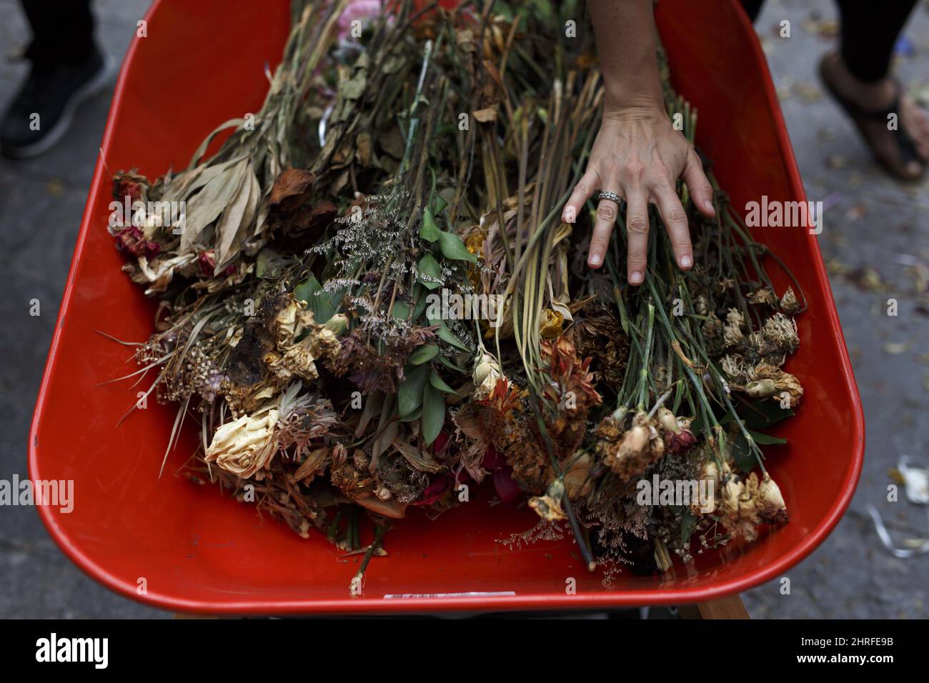 People dispose of dead flowers to mark the end of a makeshift memorial