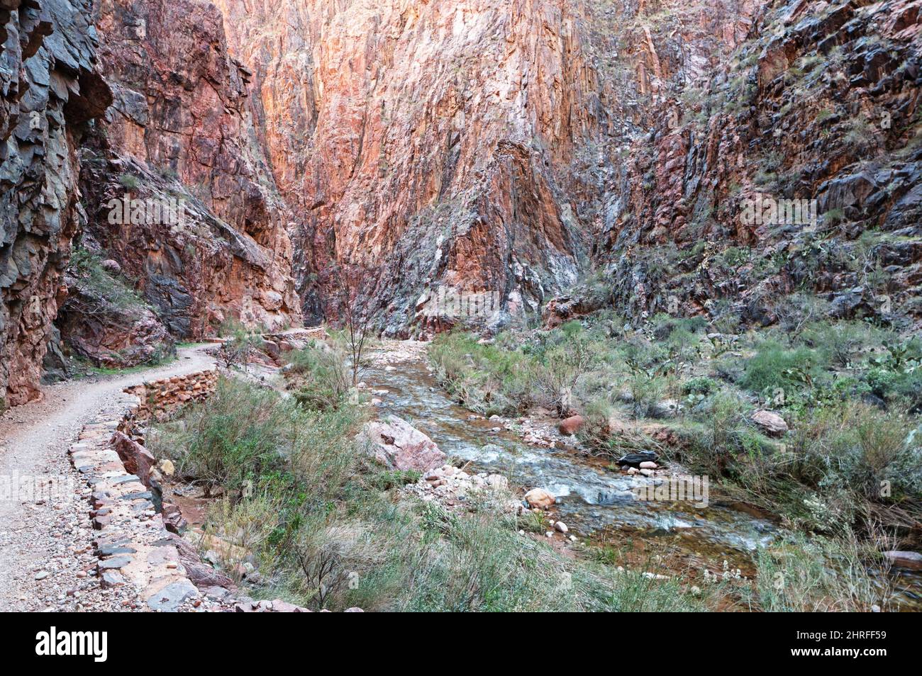 the North Kaibab Trail winds beneath the cliffs of the Grand Canyon along Bright Angel Creek Stock Photo
