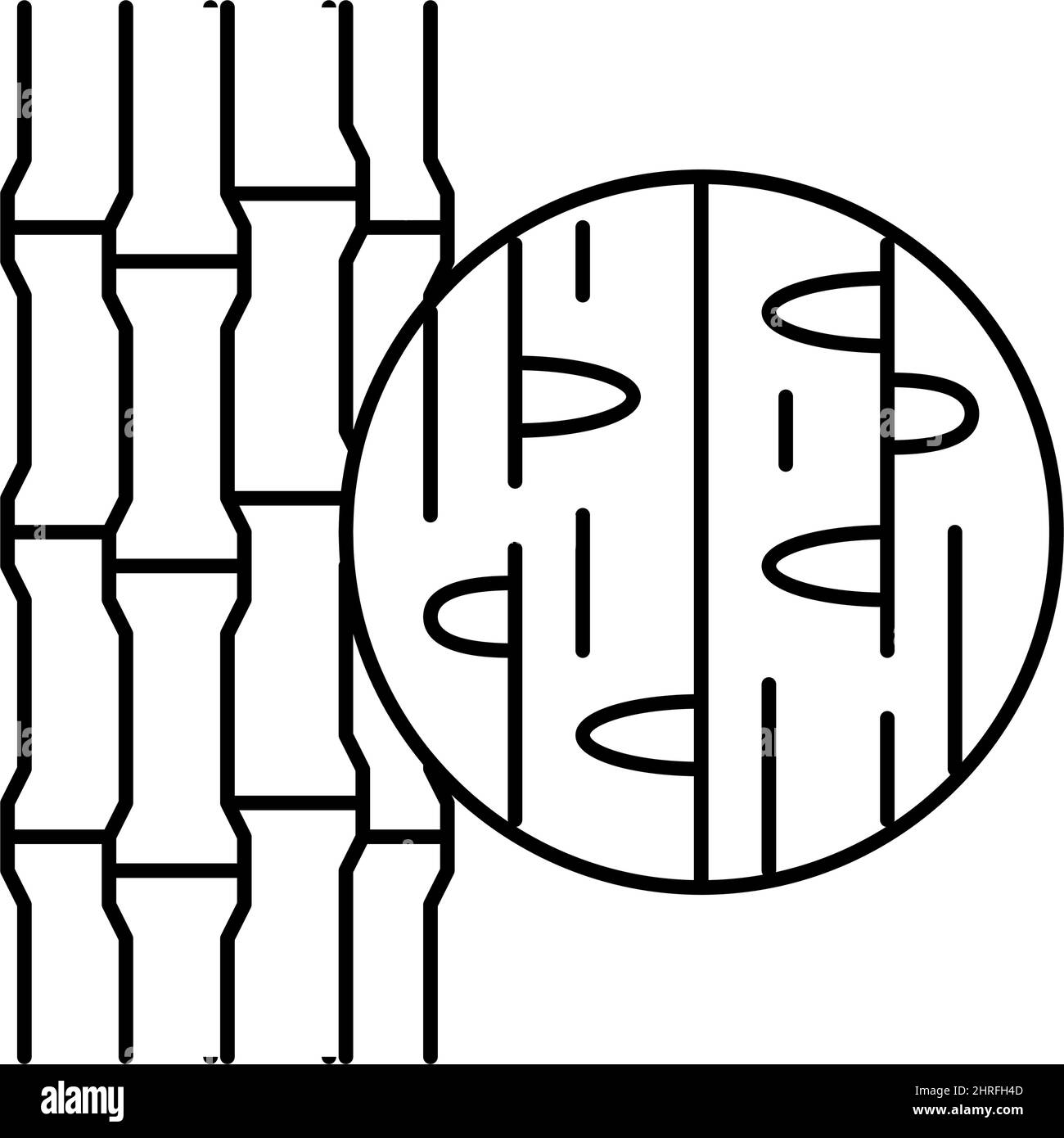 bamboo wood line icon vector illustration Stock Vector Image & Art - Alamy