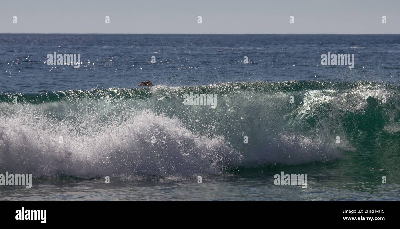 Body boarding in surf, Cornwall. At Kynance Cove.  A foot is visible as the boarder wipes out in the wave. Stock Photo