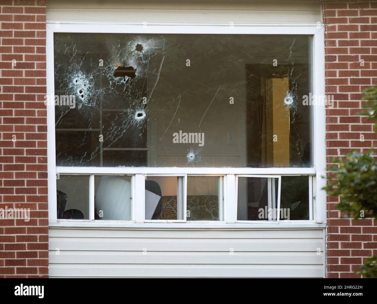 Bullet holes riddle a window in an apartment building in Fredericton on