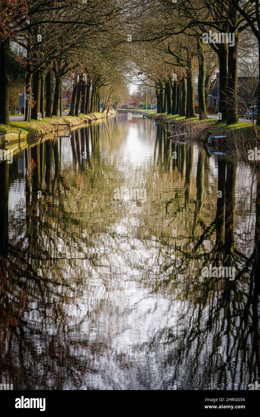 Row of trees along the canal reflected in the water surface Stock Photo ...