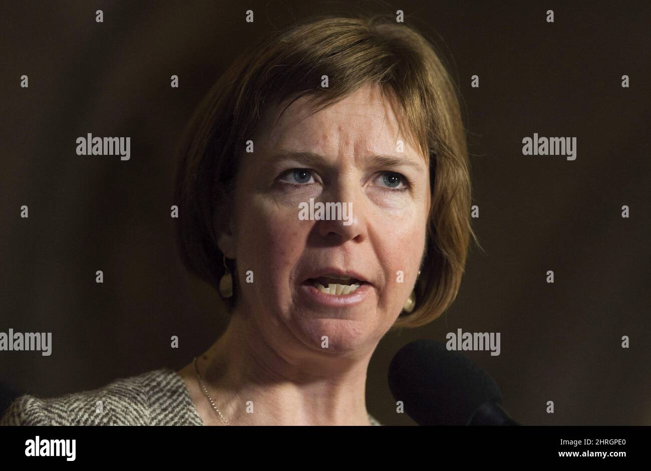 NDP MP Sheila Malcolmson speaks with the media in Ottawa on November 30, 2017. Federal New Democrat MP Sheila Malcolmson says she plans to leave federal politics to seek the provincial NDP nomination in the upcoming byelection in Nanaimo, B.C. THE CANADIAN PRESS/Adrian Wyld Stock Photo