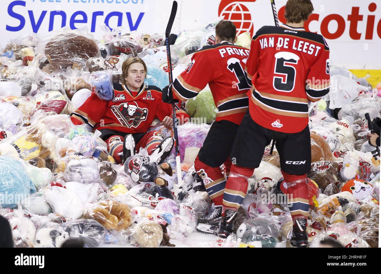 Thousands of teddy bears are tossed onto the ice, triggered by the home team's first goal, for the 24th annual Teddy Bear Toss for charity during WHL (Western Hockey League) hockey action between the Kamloops Blazers and Calgary Hitmen in Calgary, Alberta on Sunday, Dec. 9, 2018. Calgary players (left to right) Riley Stotts, Josh Prokop and Jackson van de Leest play in teddy bears piling up on the ice.THE CANADIAN PRESS/Larry MacDougal Stock Photo