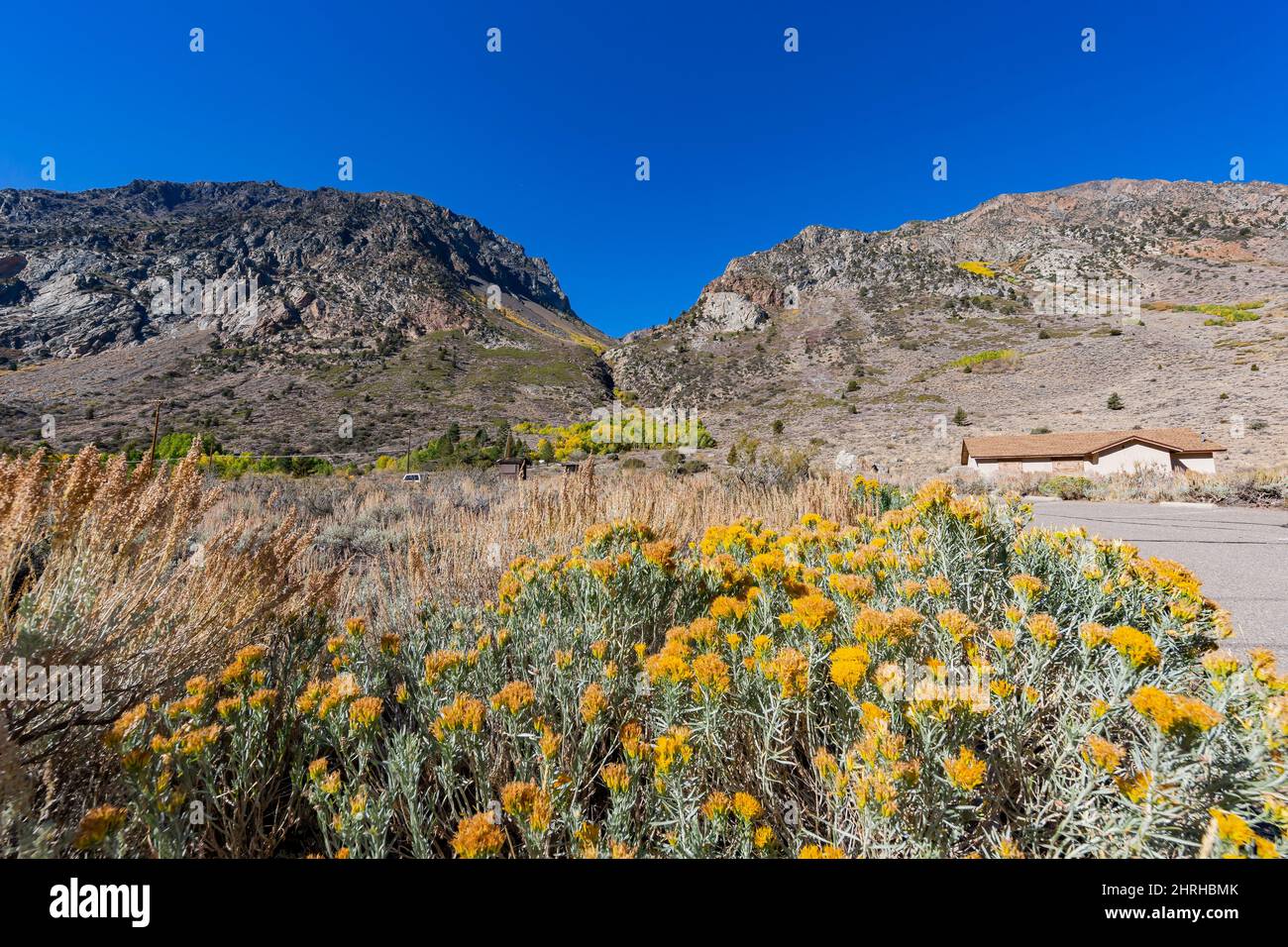 Sunny view of the fall color in June Lake Loop at California Stock