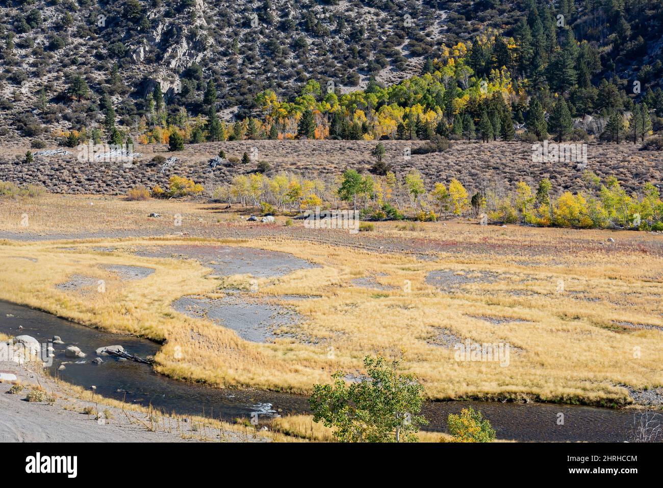 Sunny view of the fall color in June Lake Loop at California Stock ...