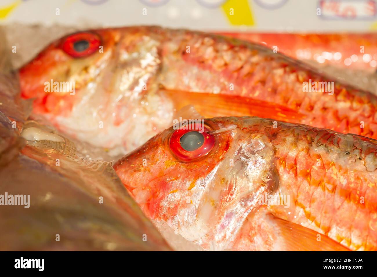 Coruna spain fish market hi-res stock photography and images - Alamy