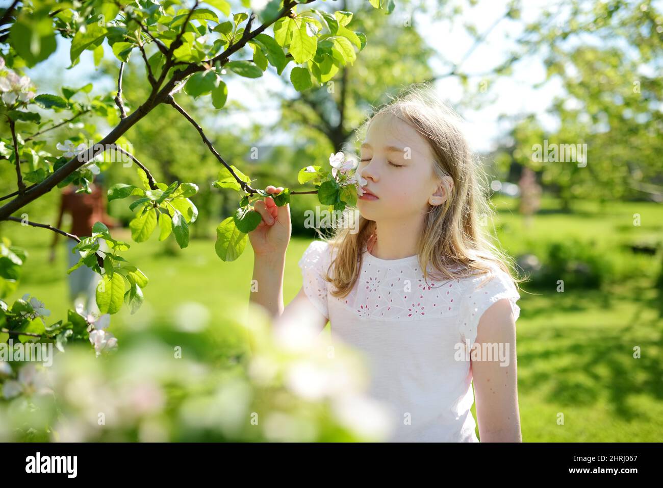 Adorable young girl in blooming apple tree garden on beautiful spring ...