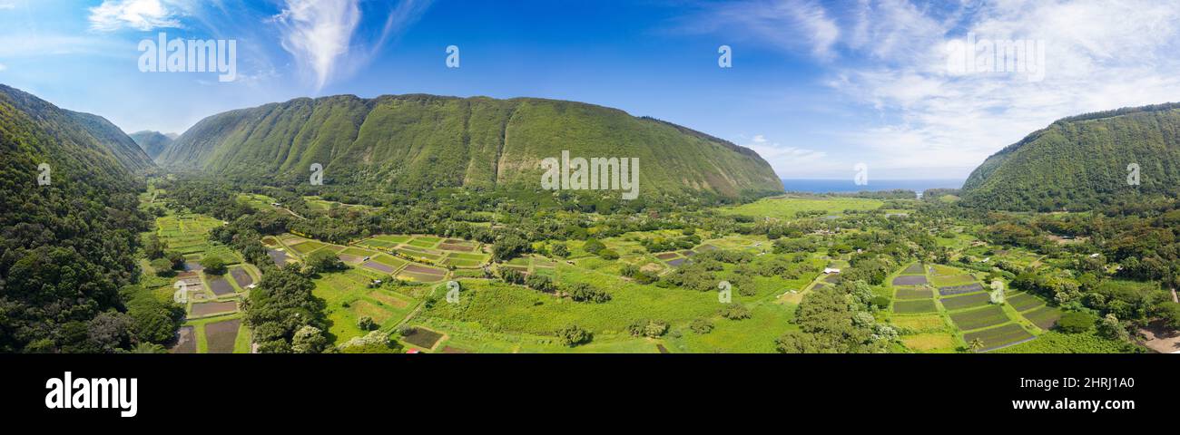 aerial panoramic view (stitched composite) of Waipio Valley on the rugged northeast coast of Hawaii Island ( the Big Island ), showing lo’i or Hawaiia Stock Photo