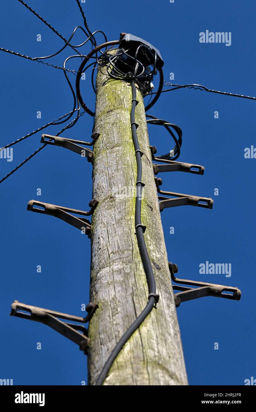 SOUTHEND-ON-SEA, ESSEX, UK - FEBRUARY 23, 2022:  View up a wooden telegraph pole with steps and wires against a blue sky Stock Photo