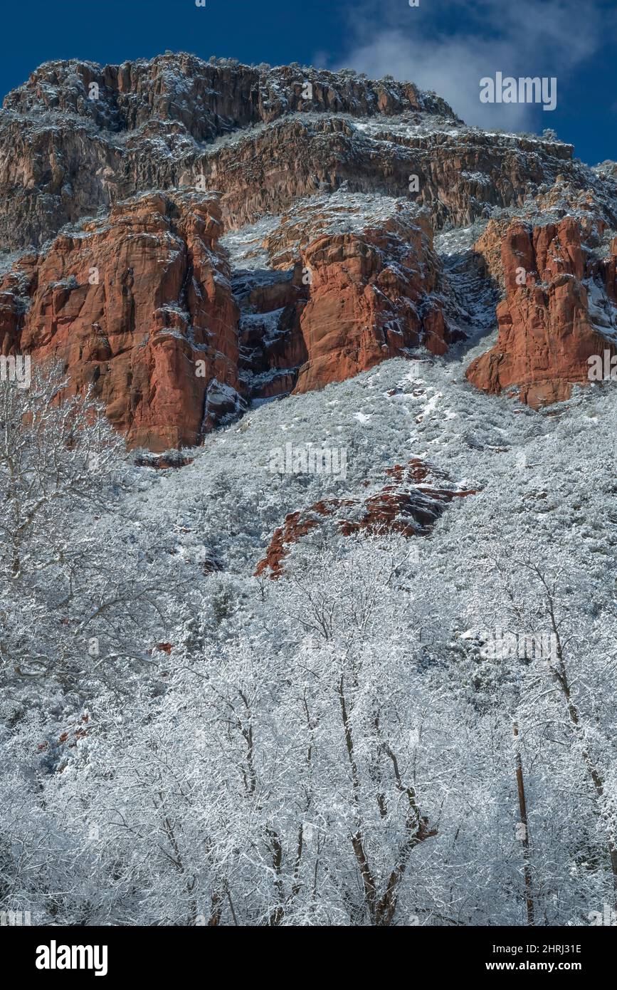 Overnight snowfall turns the red rocks of Sedona into a Blanketed ...