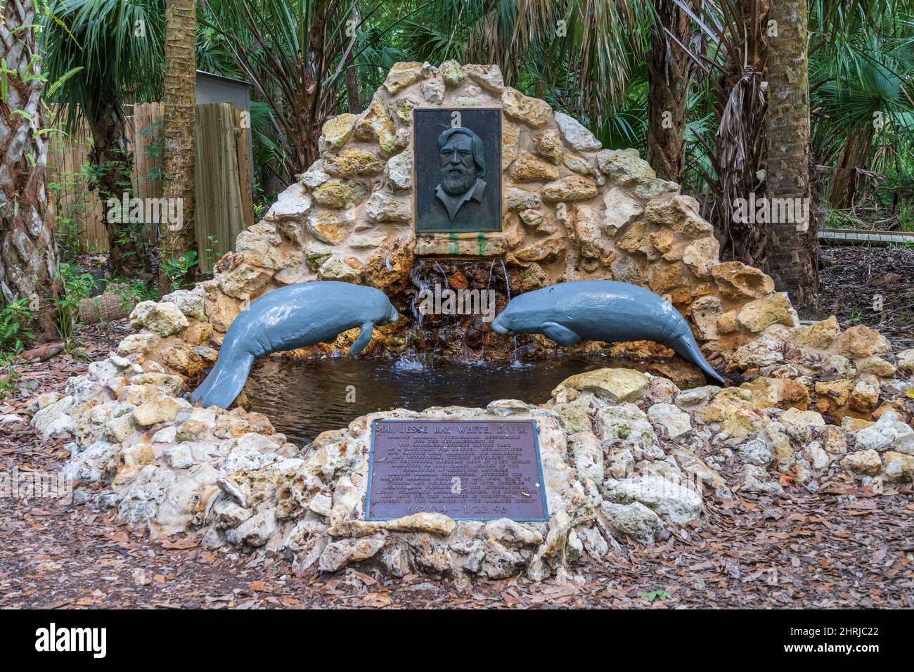 Memorial to Dr. Jesse Ray White at Ellie Schiller Homosassa Springs Wildlife State Park - Homosassa, Florida, USA Stock Photo