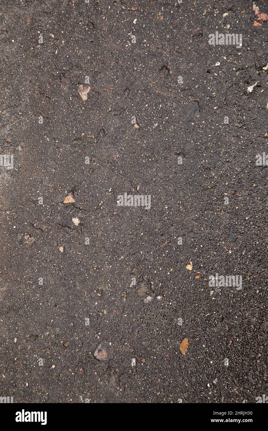 wet gray asphalt after rain Stock Photo