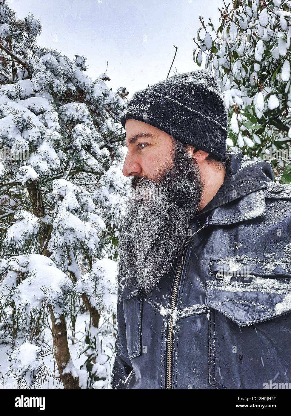 Portrait of the young Caucasian bearded man in the winter forest Stock Photo
