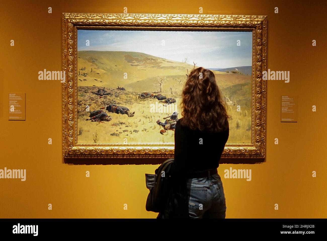 Coleccion del museo ruso hi-res stock photography and images - Alamy