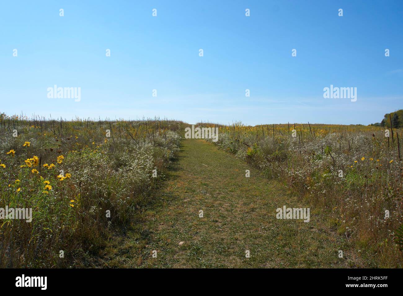 Hiking trails in the Kettle Moraine area of Wisconsin, USA Stock Photo