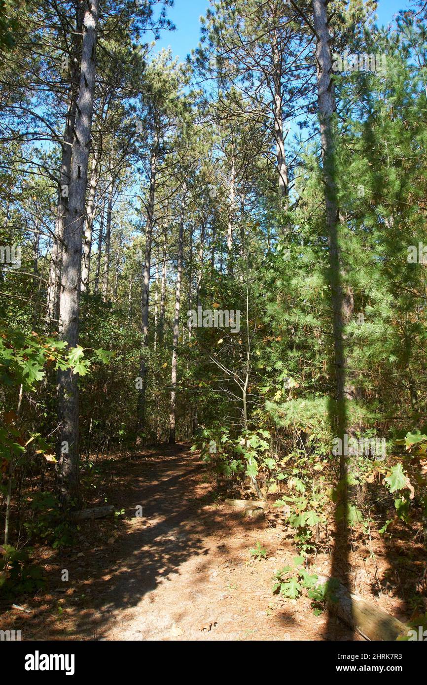 Kettle Moraine State park Southern Unit Stock Photo Alamy