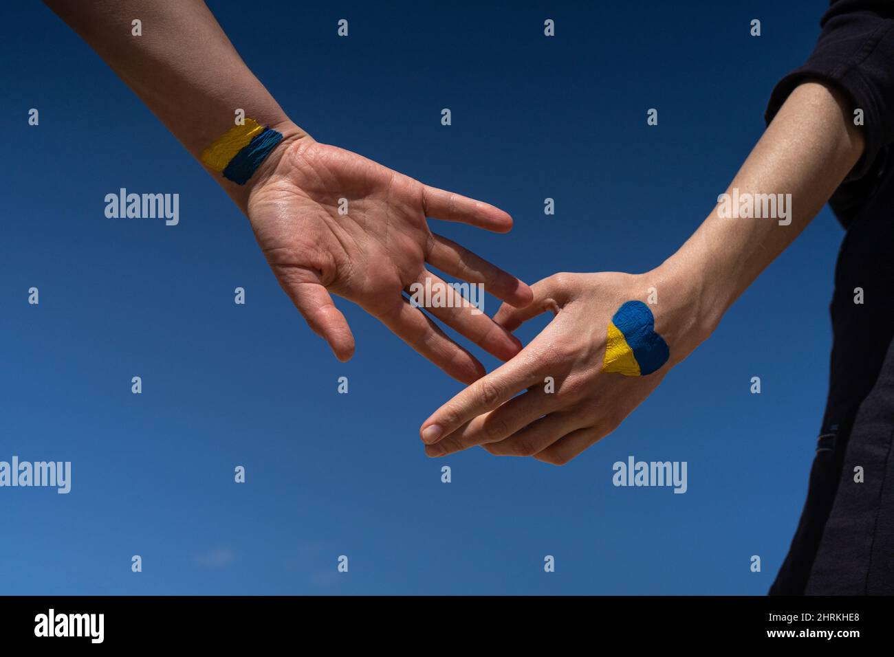 Females Hands Painted In Ukraine Flag Colors Stock Photo Alamy females-hands-painted-in-ukraine-flag-colors-stock-photo-alamy