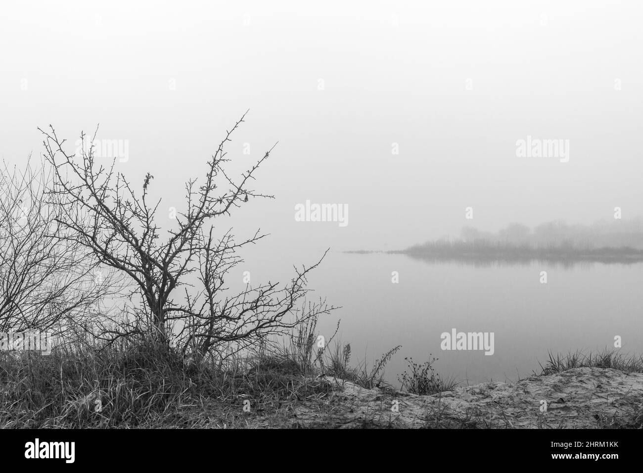 Closeup of a gloomy lake surrounded with trees Stock Photo