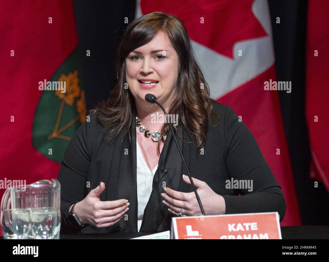 Ontario Liberal Party leadership candidate Kate Graham participates in