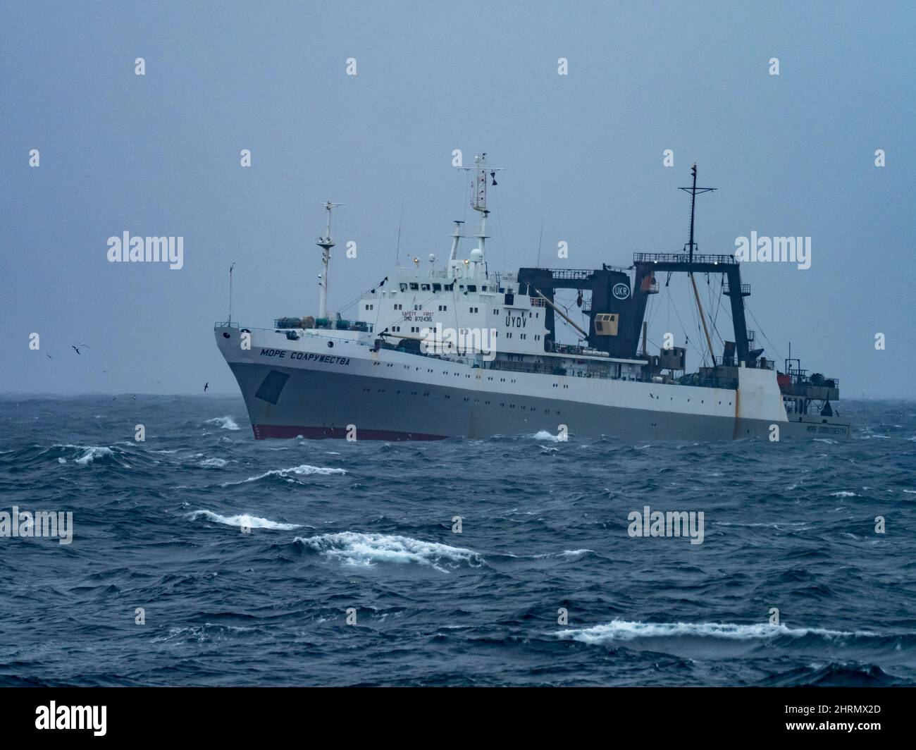 A krill fishing boat catching krill off the South Orkney Islands, Antarctica Stock Photo
