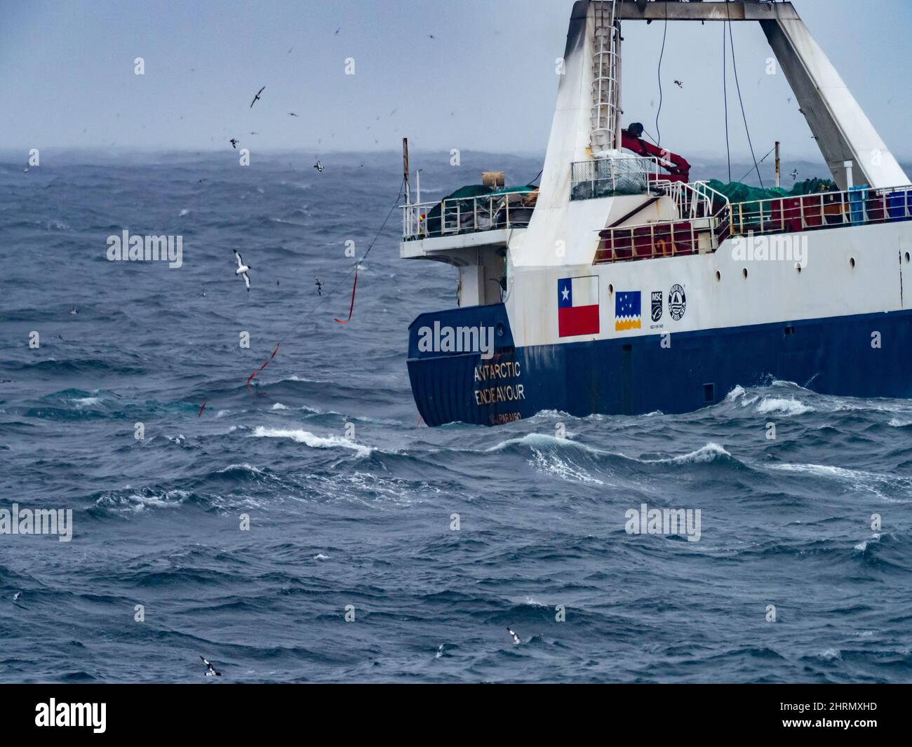 A krill fishing boat catching krill off the South Orkney Islands, Antarctica Stock Photo