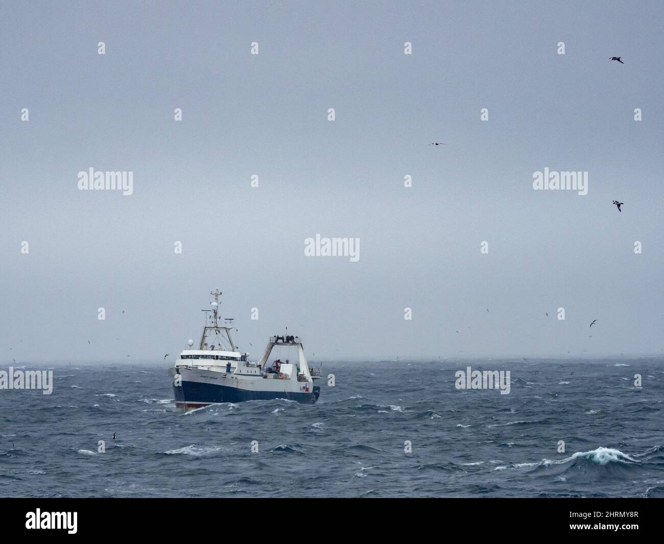 A krill fishing boat catching krill off the South Orkney Islands, Antarctica Stock Photo