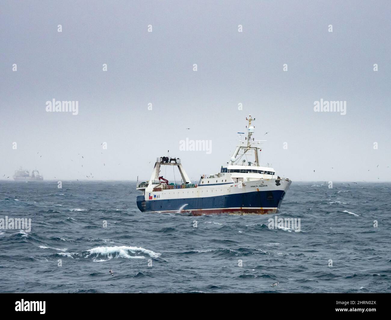 A krill fishing boat catching krill off the South Orkney Islands, Antarctica Stock Photo