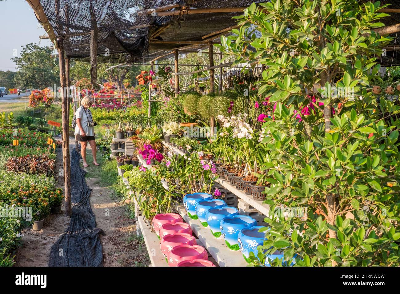 Garden shop in the countryside of Thailand outside Hua Hin selling