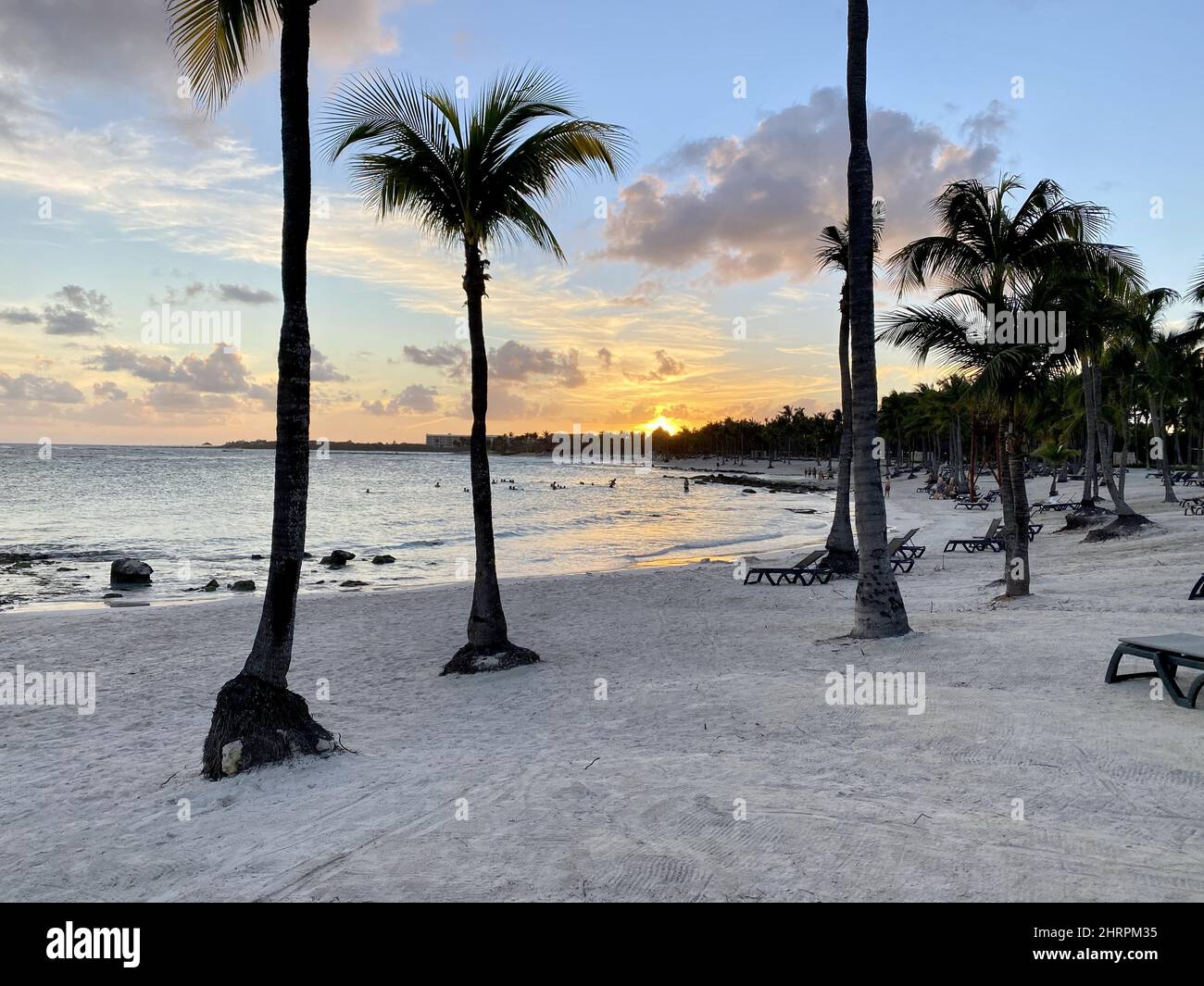 Palm trees in Cancun beach, Riviera Maya, Mexico Stock Photo Alamy