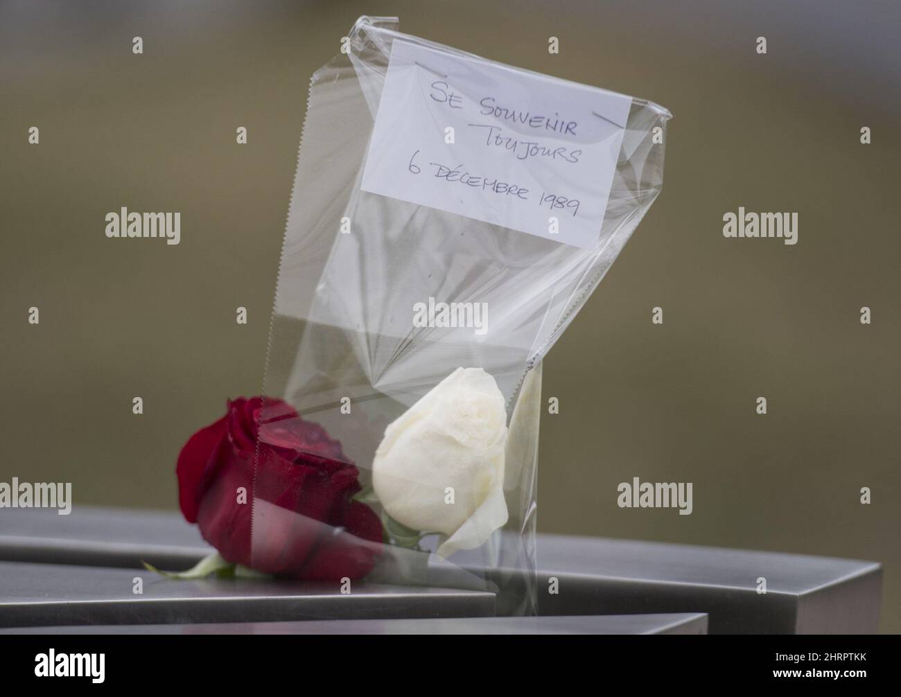 A card and roses are shown on a monument at Place du 6-Decembre-1989 in ...