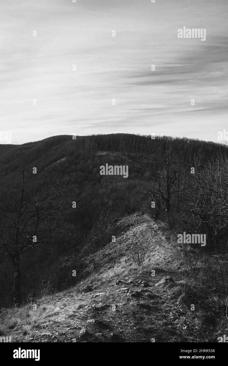 Autumn in forest mountain Black and White Stock Photos & Images - Alamy