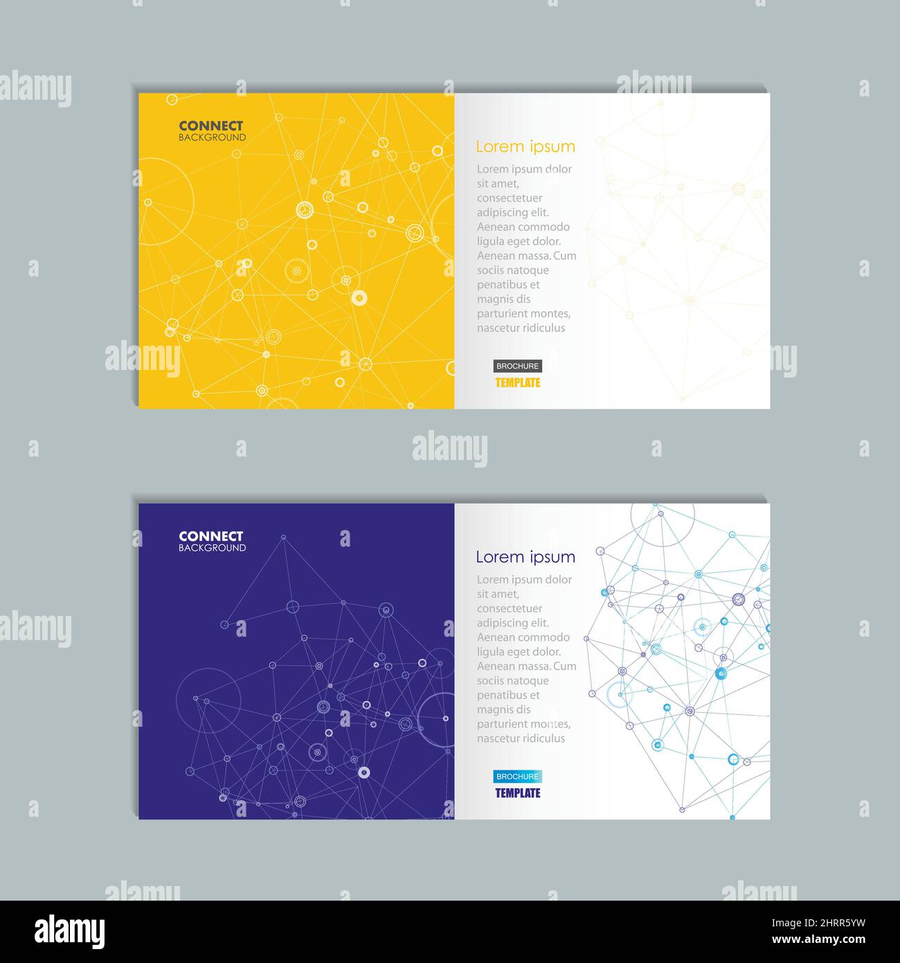 Brochure with molecule structure vector illustration Stock Vector