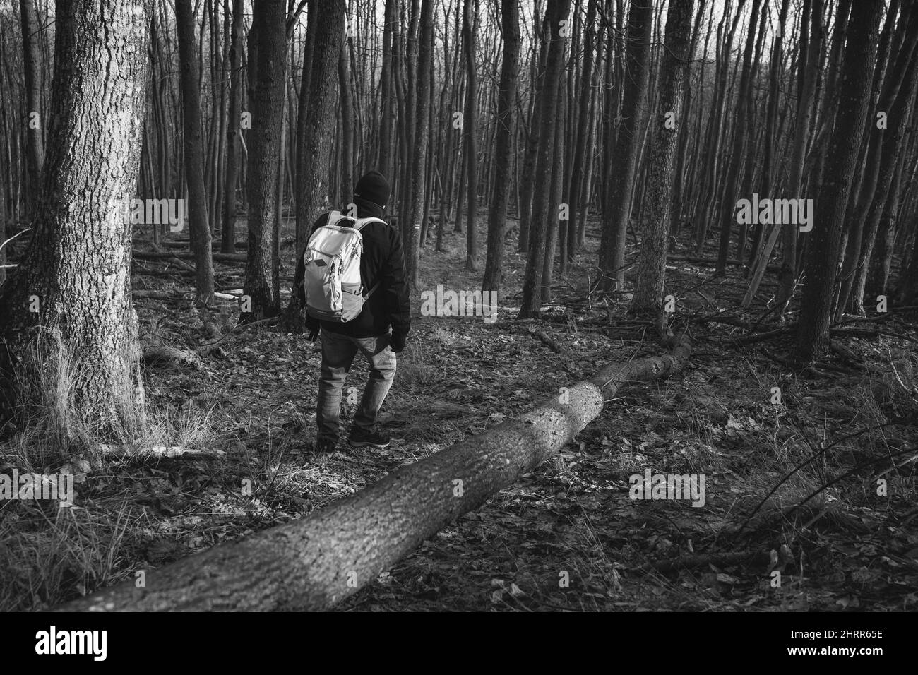 Hiker in nature man Black and White Stock Photos & Images - Alamy