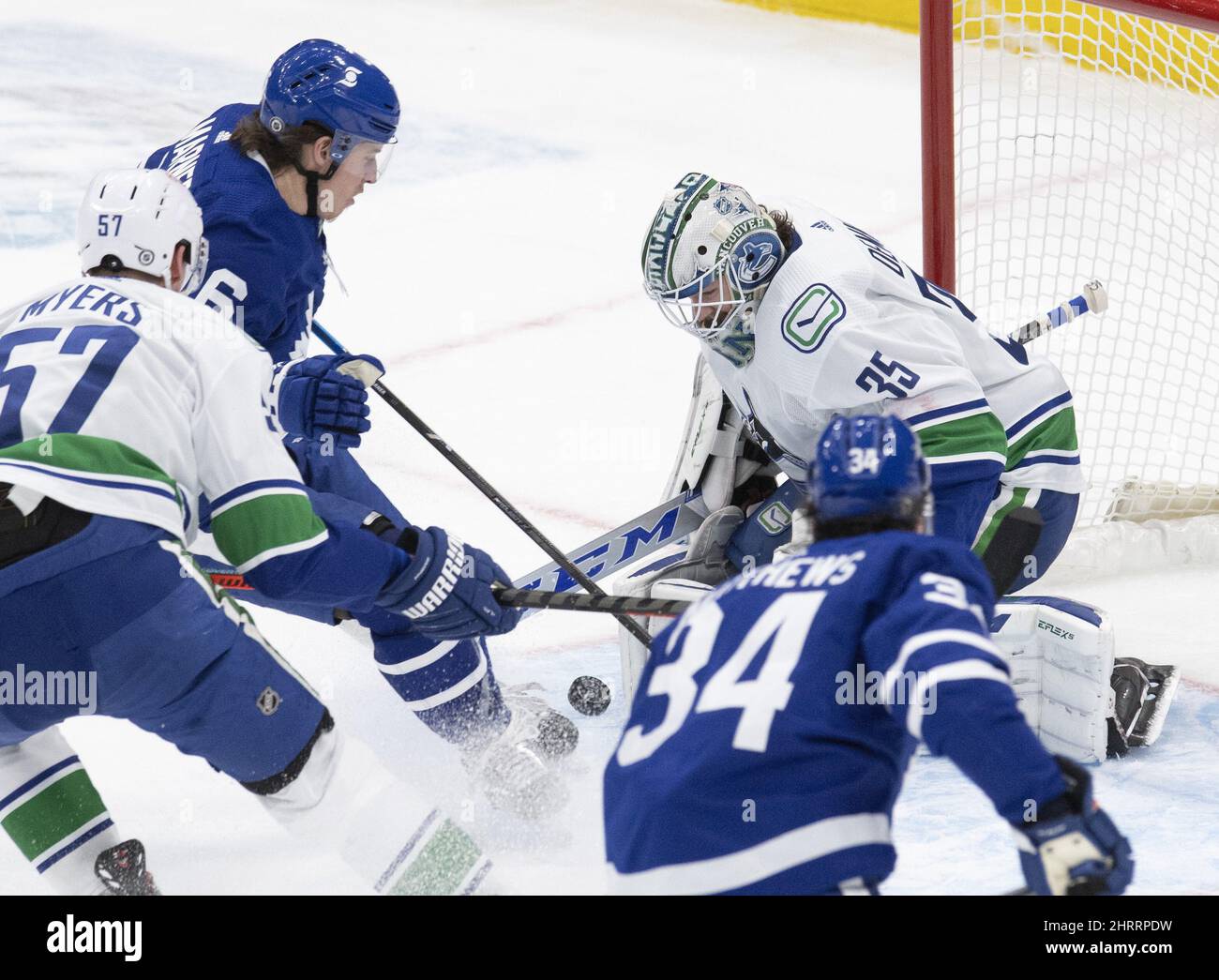 tor maple leafs tor maple leafs