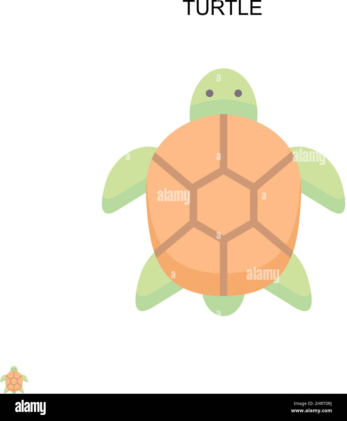 Turtle Simple vector icon. Illustration symbol design template for web mobile UI element. Stock Vector