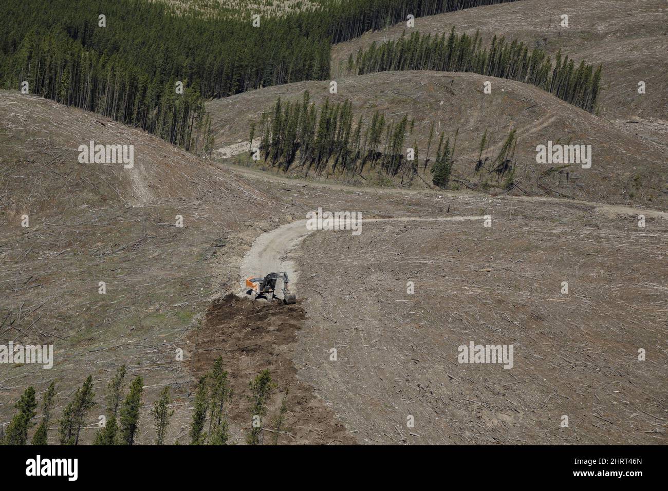 Logged land near the Valory Resources Black Eagle Mining Corporation