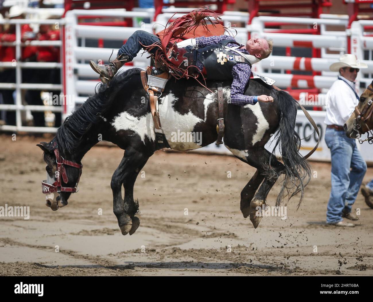 Logan Corbett, of Nashville, Tenn., rides Domino Rocket during bareback ...