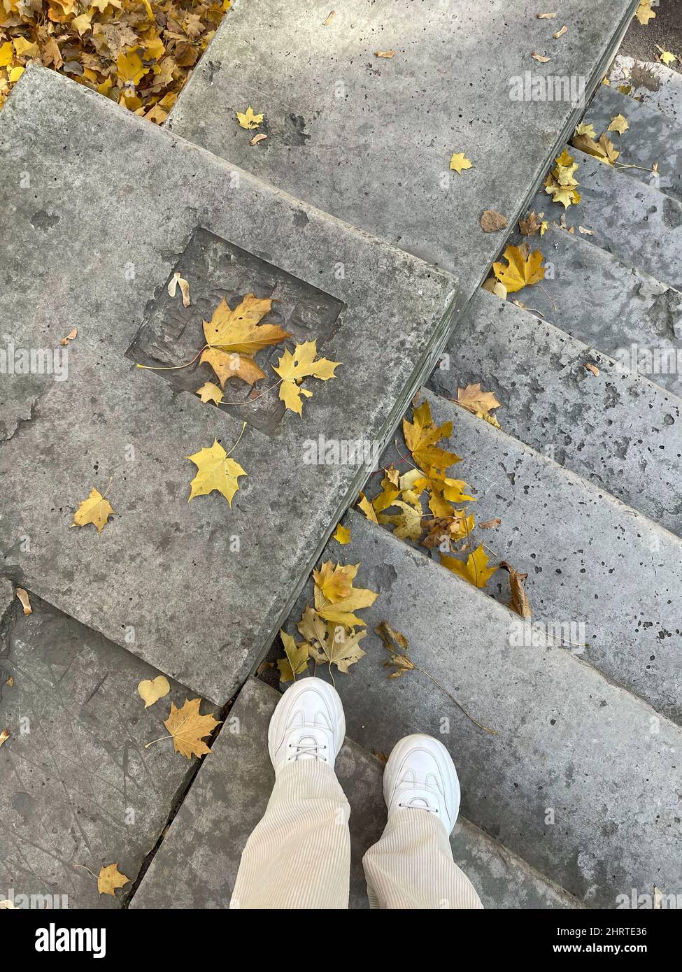High angle shot of a girl walking down the stairs with fallen autumn