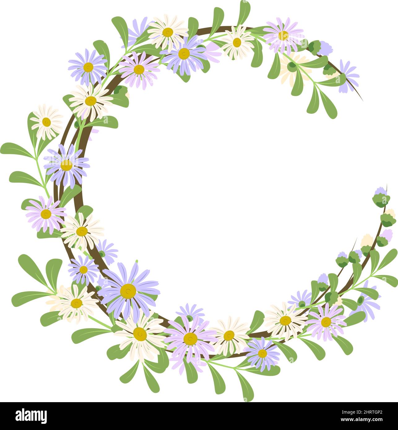 Daisy wreath. Round frame, cute purple and white flowers chamomile with ...