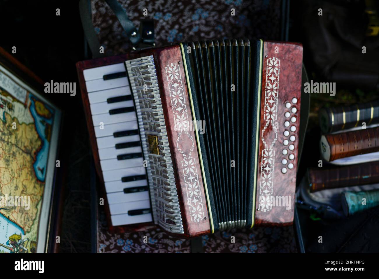 17 Different Types Of Accordions Explained VerbNow, 49 OFF