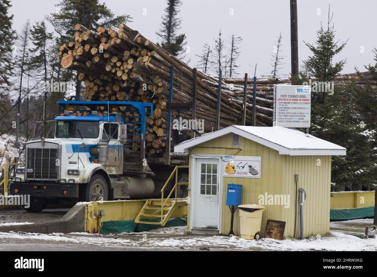 The Tembec softwood lumber plant in operation Thursday Nov 13, 2008 in ...