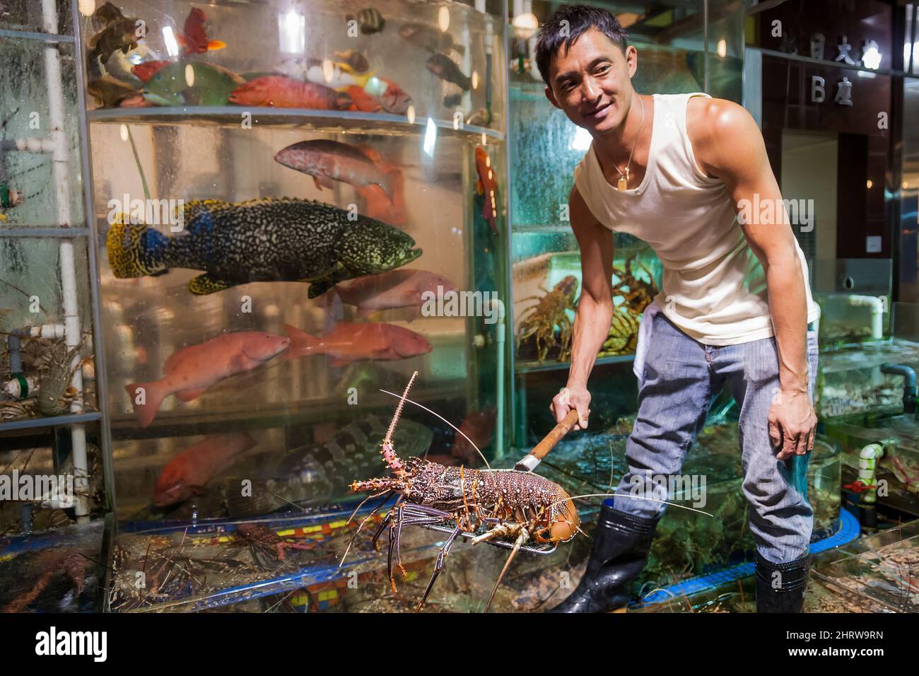 A staff member with a lobster selected by a customer from live fish and seafood on display in tanks outside a restaurant at Sai Kung waterfront, Hong Stock Photo