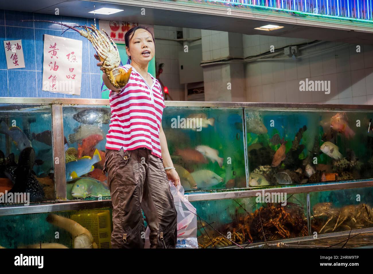 A staff member displays a lobster selected by a customer from seafood on display in tanks outside a restaurant at Sai Kung waterfront, Hong Kong Stock Photo