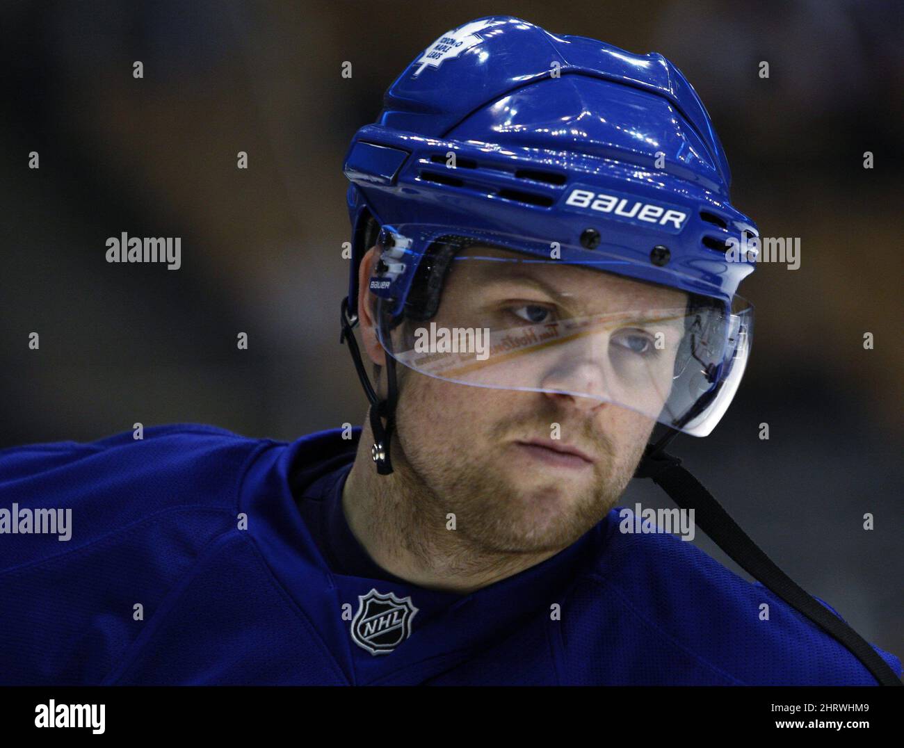 tor maple leafs news